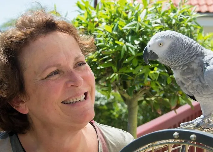 Maison Bista Eder Bidart