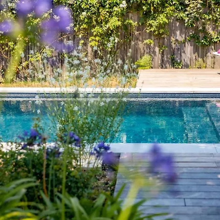 Maison Bista Eder 비다르