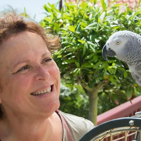 Maison Bista Eder 비다르